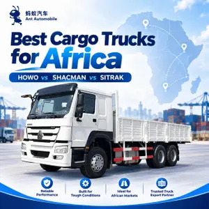 Howo 6x4 Cargo Truck.webp